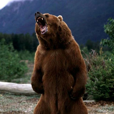 Profile Picture of Nero Tiberius (@MarcLargo3) on Twitter