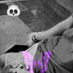 Profile Picture of Benjamín Manchego (@benjamin.manchego.2025) on Facebook