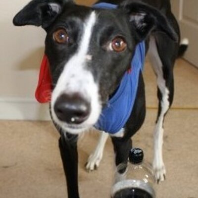 Profile Picture of Ben Cunliffe (@bencunliffe) on Twitter