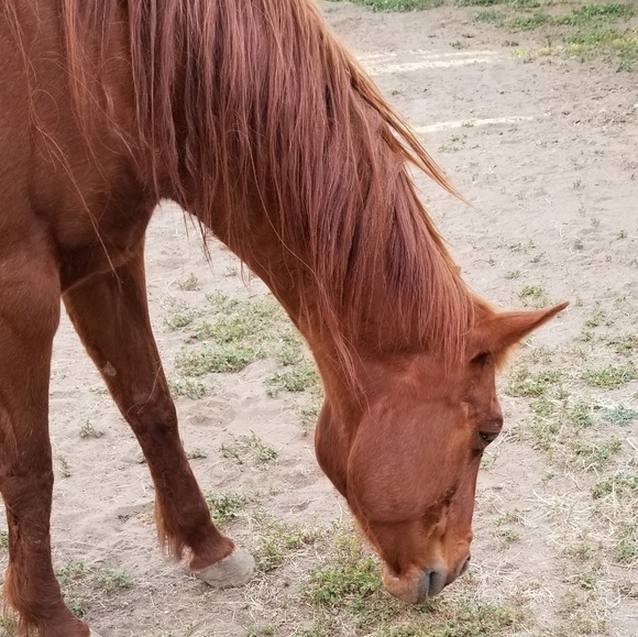 Profile Picture of Layna Richetti (@laynarichetti) on Poshmark