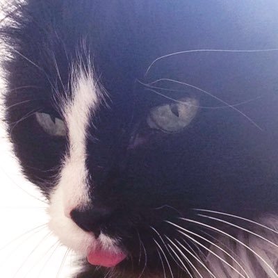 Profile Picture of Janet Woolley (@woolley_janet) on Twitter