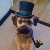 Profile Picture of Michael Mantelos (@michael-mantelos) on Quora