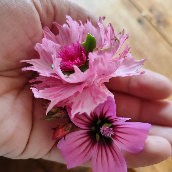 Profile Picture of Barbara Burgos (@barbaraburgos97) on Tiktok