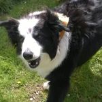 Profile Picture of Debbie McKenna (@debbie.mckenna.79) on Instagram