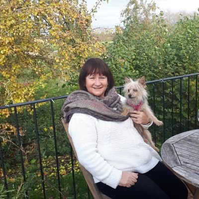 Profile Picture of Julie Butterfield (@juliebeewriter) on Twitter