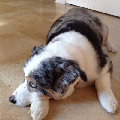 Profile Picture of Jon Wysong (@jonwysong) on Twitter