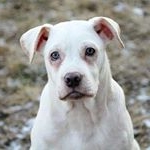 Profile Picture of Clay Blaker (@clayblaker17) on Instagram