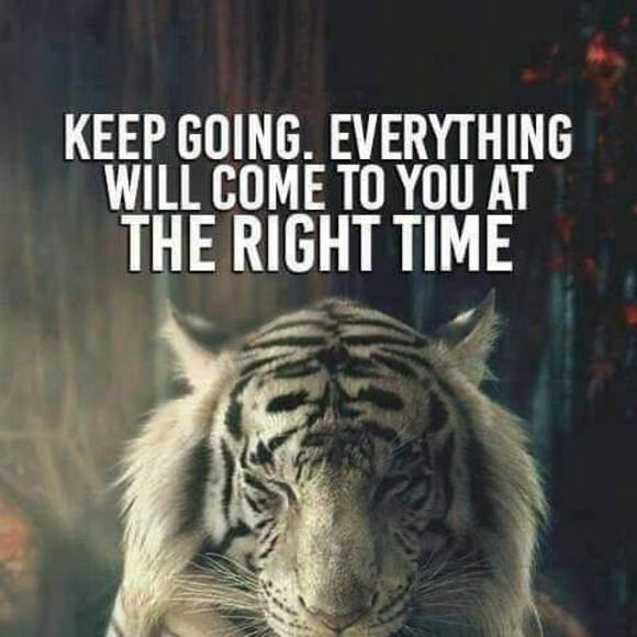 Profile Picture of Josh Gorman (@flashtalker) on Poshmark