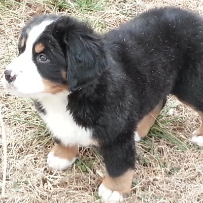 Mark Blackwelder - Twitter Profile Picture of Mark Blackwelder (@froggy1140) on Twitter