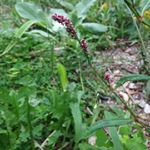 Profile Picture of Josephine Hunter (@hunter.josephine) on Instagram