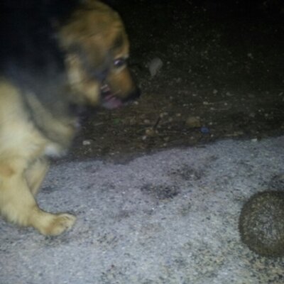 Profile Picture of Καραβάς Γιώργος (@KaravasGeorge) on Twitter