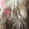 Profile Picture of Alexandra  Key (@@alexandrakey15) on Tiktok