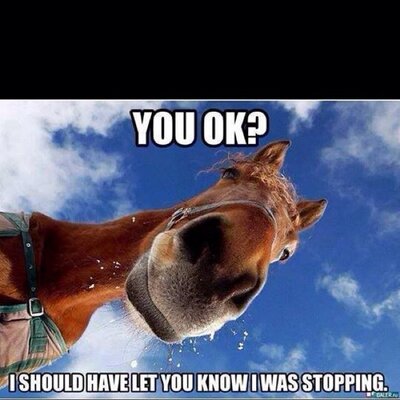 Profile Picture of John Starmer (@JohnStarmer) on Twitter