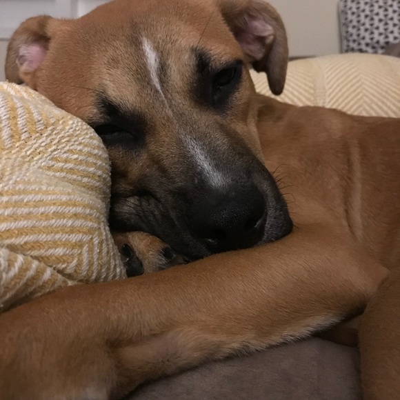 Profile Picture of Blake Marciszewski (@blakem31) on Poshmark