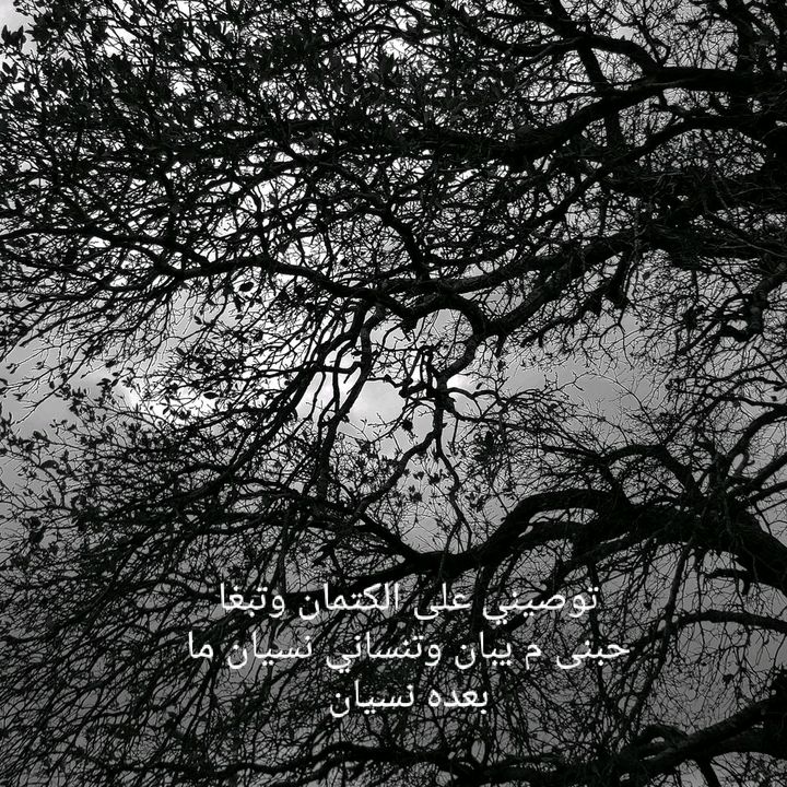 Profile Picture of Ahmad Zoubi (@ahmadzoubi2) on Tiktok