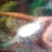 Profile Picture of Kenneth Bethea (@kenneth.bethea.716) on Facebook