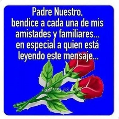 Profile Picture of Marisol Josephon Twitter