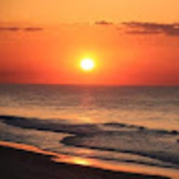 Profile Picture of Kelly Danczak (@kadanczak) on Poshmark