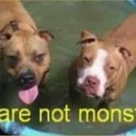 Profile Picture of JasonBenskin (@jasonbenskin2) on Instagram