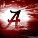 Profile Picture of kyle herring (@cmnt8r) on Pinterest