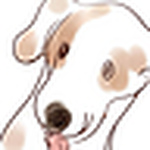 Profile Picture of Peter Kuo (@vert vert) on Flickr