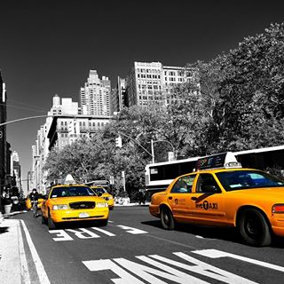 Profile Picture of Dominic Molinari (@Dominic-Molinari) on Facebook