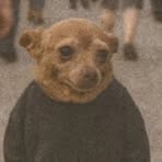 Profile Picture of Montana Running BearPaul (@Montana-Running-Bear-Paul) on Facebook