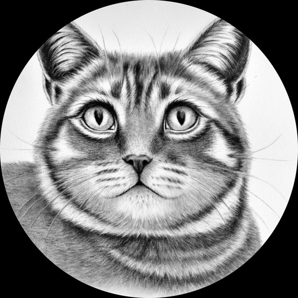 Profile Picture of Marcellafineart Sturdivant (@marcellafineart) on Poshmark