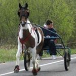 Profile Picture of Josephkeegan (@josephkeegan) on Instagram