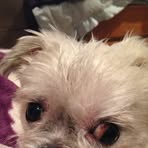 Profile Picture of Stephanie Schleif (@stephanie.schleif) on Facebook