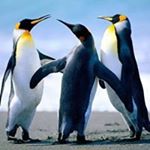 Profile Picture of Janet Wolfinger (@wolfingerjanet) on Instagram