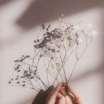 Profile Picture of Ayesha Adnan 🇵🇰 (@ash_writes_) on Instagram