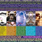 micaela grant - Instagram Profile Picture of micaela grant (@micaela3000br) on Instagram