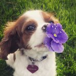 Profile Picture of Jocelyn Richardson (@jocelynrich) on Instagram