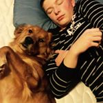 Profile Picture of Sean Jansen (@jansen8015) on Instagram
