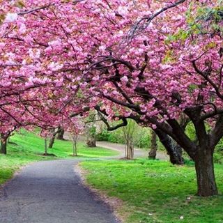 Profile Picture of Ghazala Mushtaq (@ghazala.mushtaq.1) on Facebook