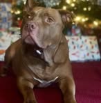 Profile Picture of Laura Eddins Eck (@laura.eddins.eck) on Facebook