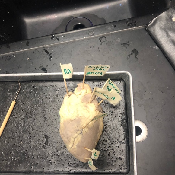 Profile Picture of Jim Berry (@jimberry1234) on Poshmark