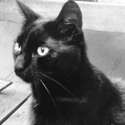 Profile Picture of Lynn Engels (@lynnipoo_x) on Tiktok