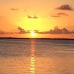 Profile Picture of Ginny Simpson (@ginny.simpson59) on Instagram