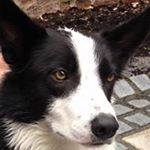 Profile Picture of Paul Tarrier (@paultarrier) on Instagram