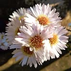 Profile Picture of Darrell C. Howard (@Darrell-C-Howard) on Facebook