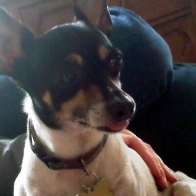 Profile Picture of Michael Bierman (@bikermike18) on Twitter