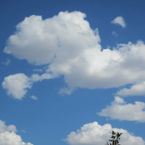 Profile Picture of Cliff Hill (@cocliff88) on Poshmark