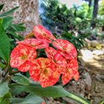 Profile Picture of Harmon_Smith (@harmon_smit) on Instagram