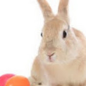 Profile Picture of Lisa Lorenz (@lisalorenz7672) on Youtube