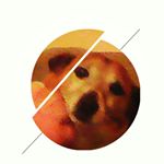 Profile Picture of Alisha Mairéad Ryan Byrne (@alisharb305) on Instagram
