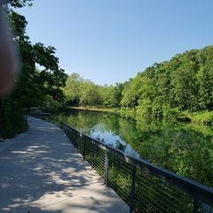 Profile Picture of Gary Beard (@gary.beard) on Tiktok