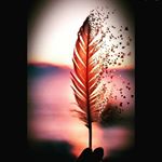 jessica berthold - Instagram Profile Picture of jessica berthold (@jess1_2707) on Instagram