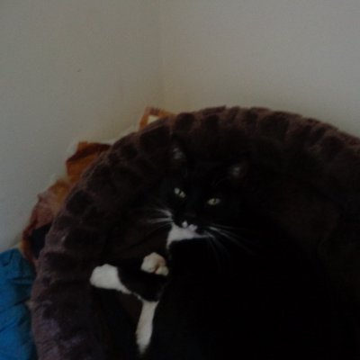 Profile Picture of John Lyons (@johnlyo58259537) on Twitter